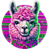 Alpaca