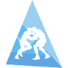 Martial Arts Wrestling