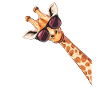Funny Giraffe Sunglasses