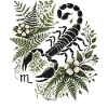 Skorpionen Stjernetegn - Blomster- og naturinspireret design