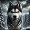 Hasky I