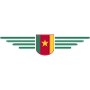 Cameroon Design – Pride and Diversity