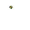 Je Peux Pas J'ai Volley