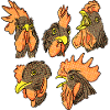 Chicken Moods_Hühnerlaune