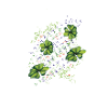 KleeBlatt