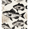 Japanese Style Fish Drawing
