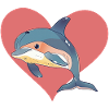 Delfin Meerestiere Meerestier