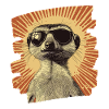 Suricate Rétro