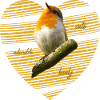 Robin Erithacus rubecula
