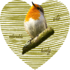 Robin Songbird