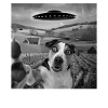 Alien Encounter Dog Selfie