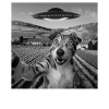 Alien Encounter Dog Selfie
