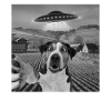 Alien Encounter Dog Selfie