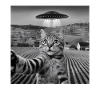 Alien Encounter Cat Selfie