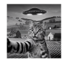 Alien Encounter Cat Selfie
