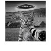 Alien Encounter Cat Selfie