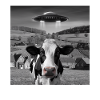Alien Encounter Cow Selfie