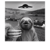 Alien Encounter Sloth Selfie