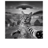 Alien Encounter Cat Selfie