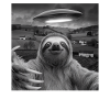 Alien Encounter Sloth Selfie