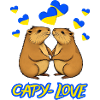 Capy - Love, Capybara