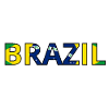 Brazil Flag
