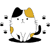 Chat mignon