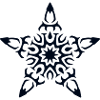 Star Tribal