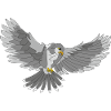 Bird of prey