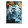 Jumping Spider Springspinnen Springspinne