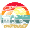 Bird Feeding