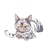 Introverti, antisocial, introverti