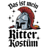 This is my knight costume