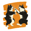 Combat de chats japonais