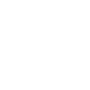 Propriété d’un Whippet