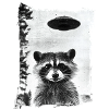 Unbekanntes Waschbär Object