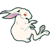 Floating Rabbit