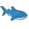Funny whale shark with pun