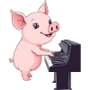 Pig Piggy Pianist Piano