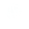 Basketball Basketball player