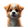 Cute puppy