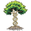 DNA Tree of Life