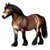 Cheval Sang Froid Brun