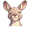 Kangourous Kangourou