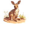 Kängurus Känguru