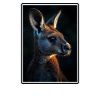 Kängurus Känguru