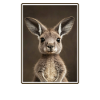Kängurus Känguru