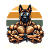 Loyal jusqu’au bout Malinois musclé