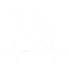 Snowboard Snowboard Vacances snowboard Snowboarders