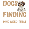 Shih Tzu Dog Owner